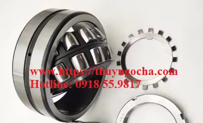 Vòng bi 21309 K + H309