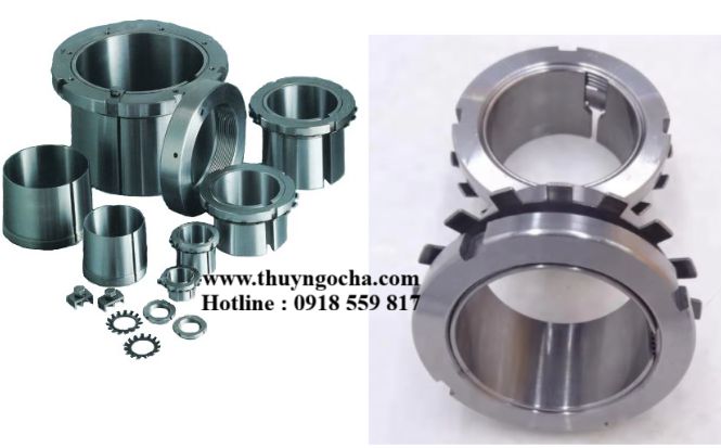 MANG SÔNG CÔN RÚT, CÔN ĐẨY, MĂNG XÔNG BẠC ĐẠN