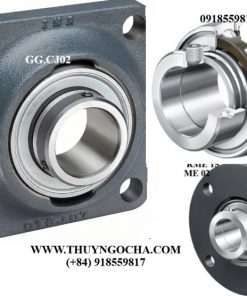 Vòng bi bạc đạn gối đỡ ổ bi PCJ, RCJ, CCJ, CJ, RAE, GE, GGME, PE, RME, ME
