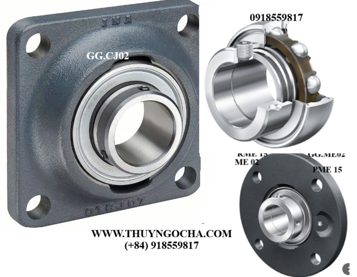 Vòng bi bạc đạn gối đỡ ổ bi PCJ, RCJ, CCJ, CJ, RAE, GE, GGME, PE, RME, ME