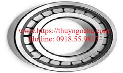 Vòng bi, bạc đạn, ổ bi 30X62X16