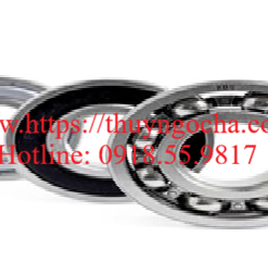 Vòng bi, bạc đạn, ổ bi 61700