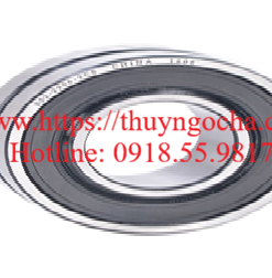 Vòng bi, bạc đạn, ổ bi BS2 2206 2CS-VT143