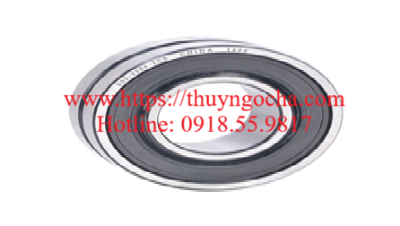 Vòng bi, bạc đạn, ổ bi BS2 2206 2CS-VT143
